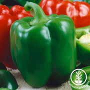 Pepper Seeds - Sweet - Chinese Giant