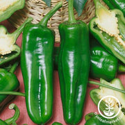 Pepper Seeds - Sweet - Pepperoncini Pickling F1