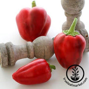 Pepper Seeds - Sweet - Pimento L