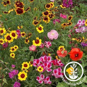 Western Pollinator Flower Mix Garden Seeds