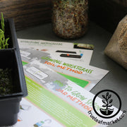 Instructions - Wholesale Laminated - How To Grow Sprouts - Jar & Tray Method