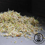 Sandwich Blend (Organic) - Sprouting Seeds