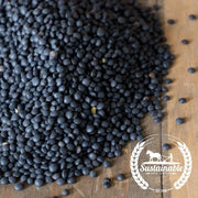 Lentil Seeds - Black - Organic