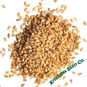 Sesame Seeds - Tan - Kingoma