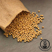 Yellow Soybeans (Organic) - Bulk Grains & Foods