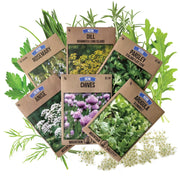 Essential Spring Herbs - 6 Pack