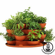 Stack & Grow with Culinary Herb Garden Kit