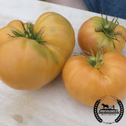 Tomato Seeds - Slicing - Amana Orange (Organic)