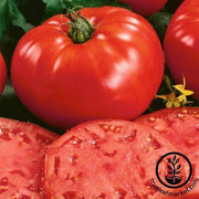 Tomato Seeds - Beefsteak Indeterminate