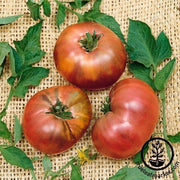 Tomato Seeds - Brandywine Black - Regular Leaf