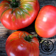 Brandymaster Pink F1 Hybrid Tomato Seeds