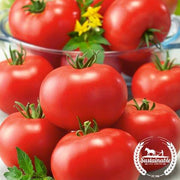 Tomato Seeds - Slicing - Burbank (Organic)