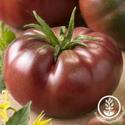 Tomato Seeds - Chef's Choice Black F1 AAS