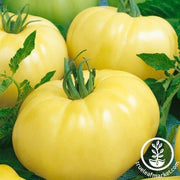 Tomato Seeds - Chef's Choice White F1
