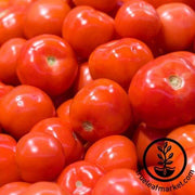 Tomato Seeds - Early Choice Red F1