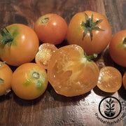 Tomato Seeds - Containers Choice Orange F1