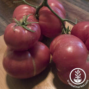 Tomato Seeds - Containers Choice Pink F1