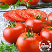 Tomato Seeds - Slicing - Dakota Sport (Organic)