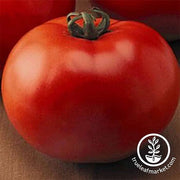 Tomato Goliath Hybrid Seed