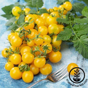 Tomato Seeds - Lemon Drop improved F1