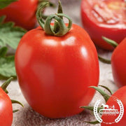 Tomato Seeds - Slicing - Micado Violetter (Organic)