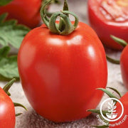 Tomato Seeds - Micado Violetter