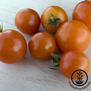 Tomato Seeds - Monarch F1