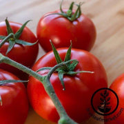 Tomato Seeds - Mountain Delight F1