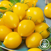 Tomato Seeds - Plum Lemon