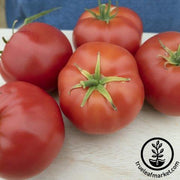 Tomato Seeds - Quarter Century