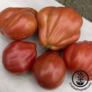 Tomato Seeds - Red Truffle