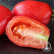 Tomato Seeds - Processing - Rio Fuego