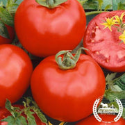 Tomato Seeds - Salad - Rutgers (Organic)