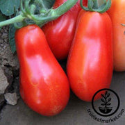 Tomato Seeds - Paste - San Marzano Indeterminate