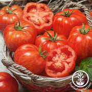 Tomato Seeds - Striped Paste