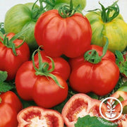 Tomato Seeds - Stuffer Red