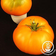 Tangerine Tomato Seeds