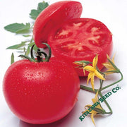 Tomato Seeds - Momotaro Tough Boy Fight- Hybrid
