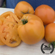 Tomato Seeds - Slicing - Valencia (Organic)