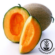 Top Mark Melon Seeds - Non-GMO