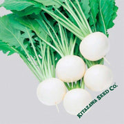 Turnip Seeds - Fuku Komachi - Hybrid