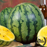 Watermelon Seeds - Yellow Gem Sweet - Organic