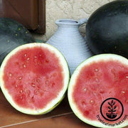 Watermelon Seeds - Harvest Moon F1 AAS