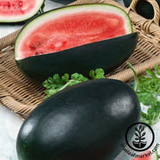 Watermelon Seeds - Nobility F1