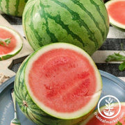 Watermelon Seeds - Icebox - Tiger Baby Hybrid (Organic)