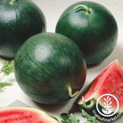 Watermelon Seeds - Icebox - Triple Baby Hybrid (Organic)