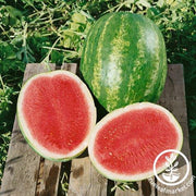 Watermelon Seeds - Picnic - Triple Crown Hybrid (Organic)