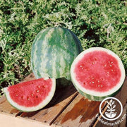 Watermelon Seeds - Triple Sweet F1