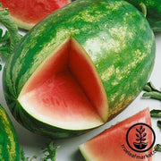 Watermelon Seeds - Triple Yield F1