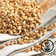 Wheat Seeds - Yamhill